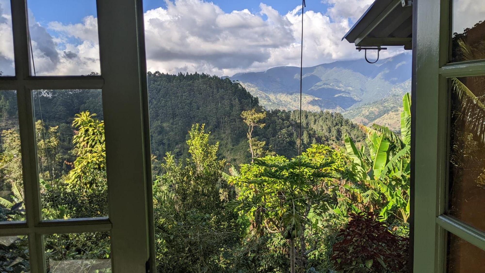 Lime Tree Farm, Blue Mountains Villa Mavis Bank Eksteriør billede