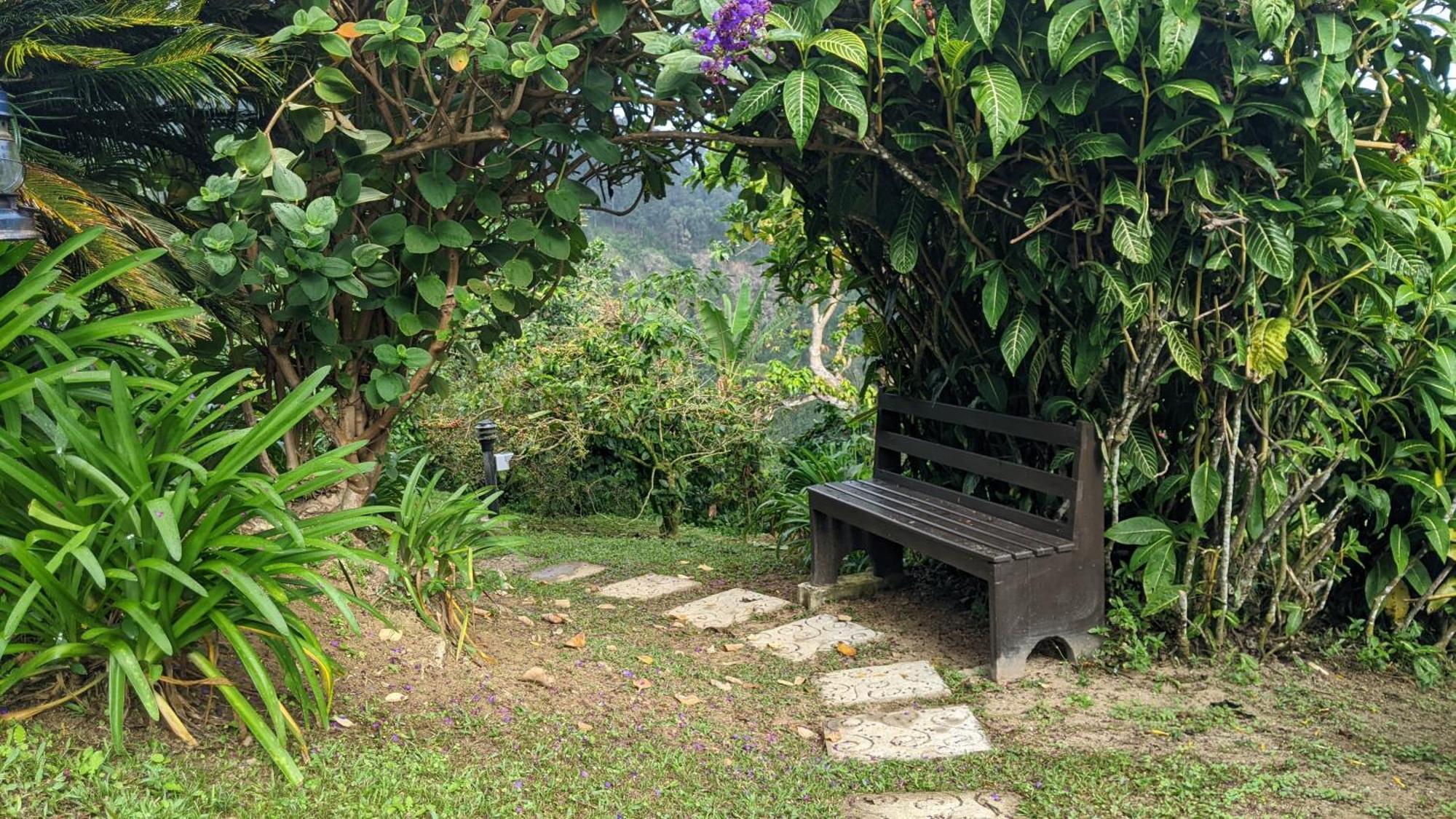Lime Tree Farm, Blue Mountains Villa Mavis Bank Eksteriør billede